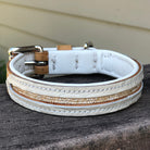 A white leather dog collar with a textured gold glitter stripe down the center and a silver-tone buckle, resting on a weathered wooden surface.