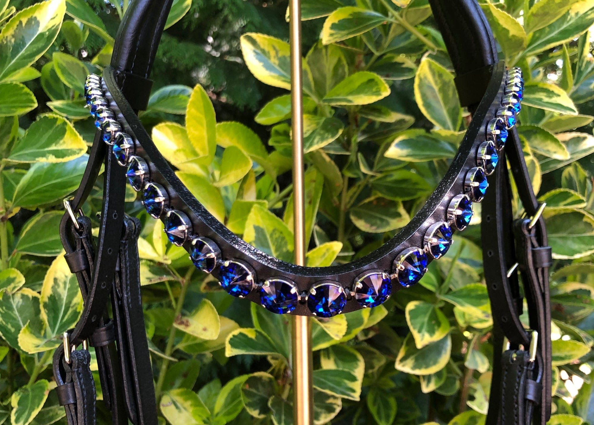 Otto Schumacher Elegant Snaffle Black Patent with Midnight Blue Fineline