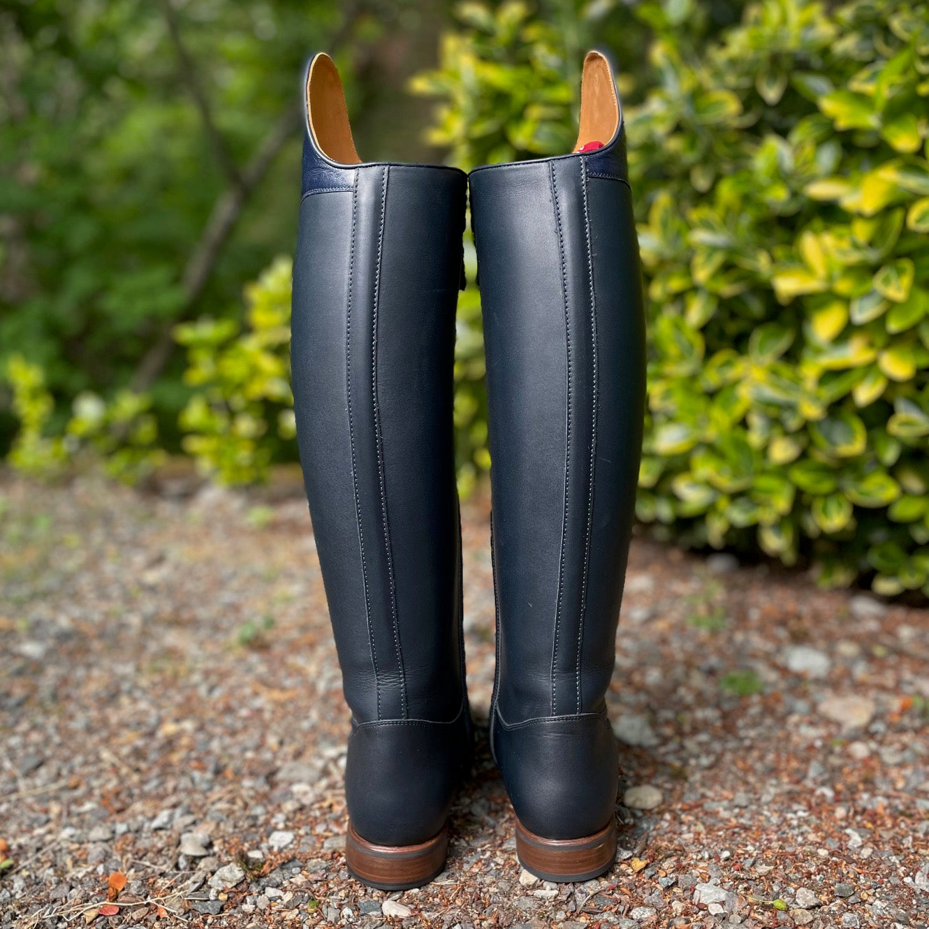 DeNiro Raffaello Dressage Boot - Indaco WRAT with Erika Top - 39 MC/M