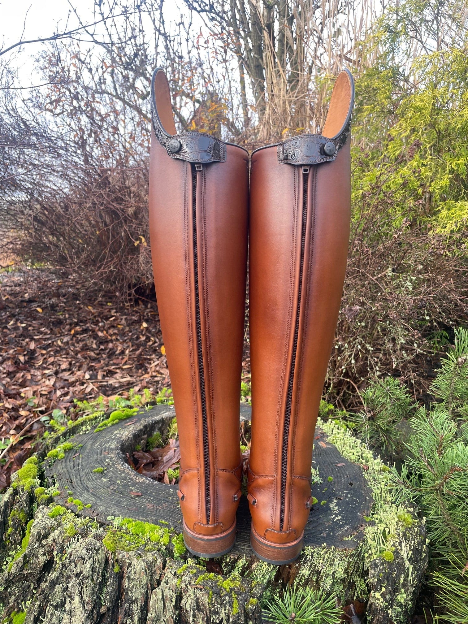 Custom DeNiro Volta Dressage Boot - Oxford Vintage with Lucidi Moka Rondine