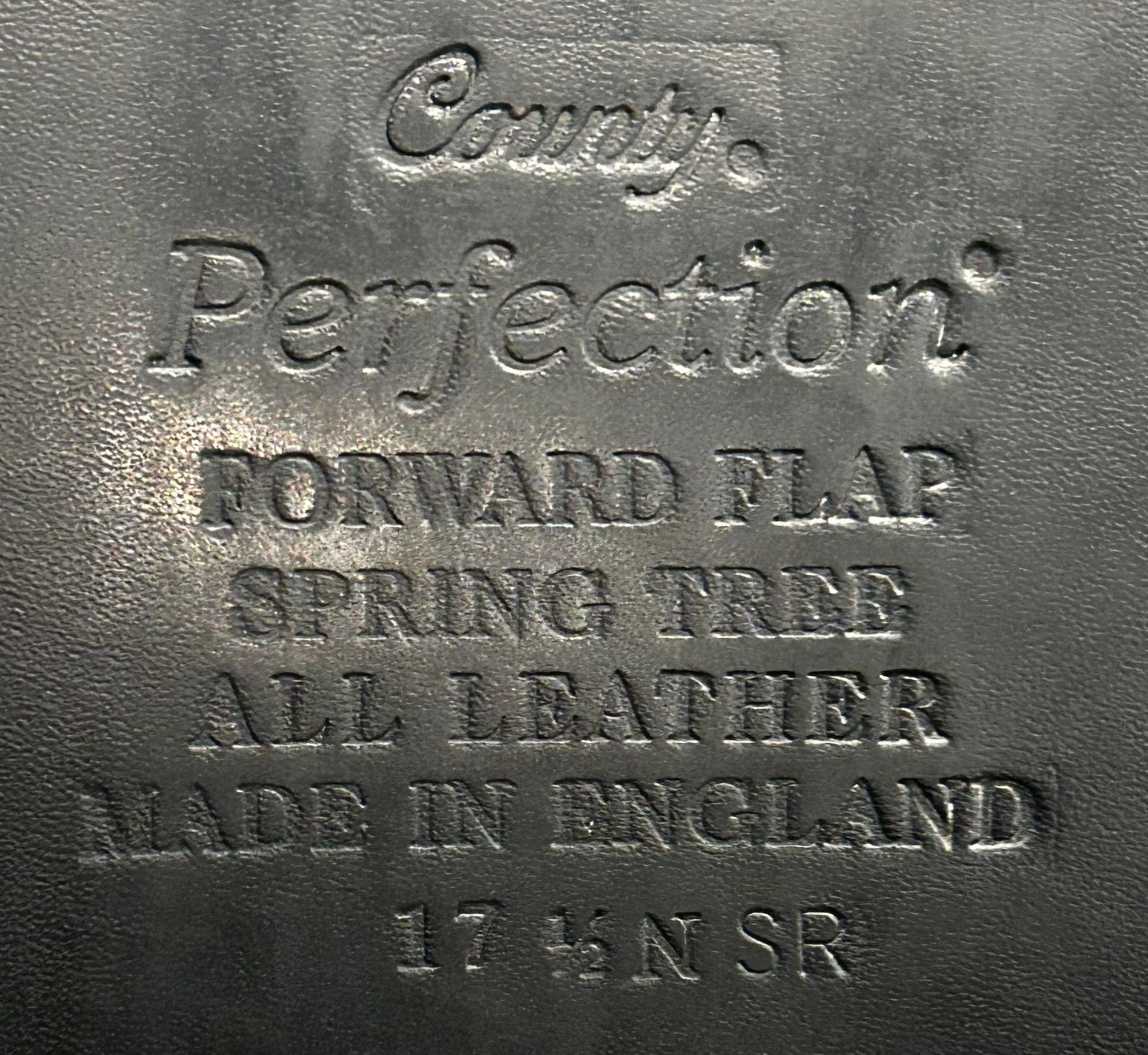 17.5" County Perfection, 2015, Medium (4") Tree