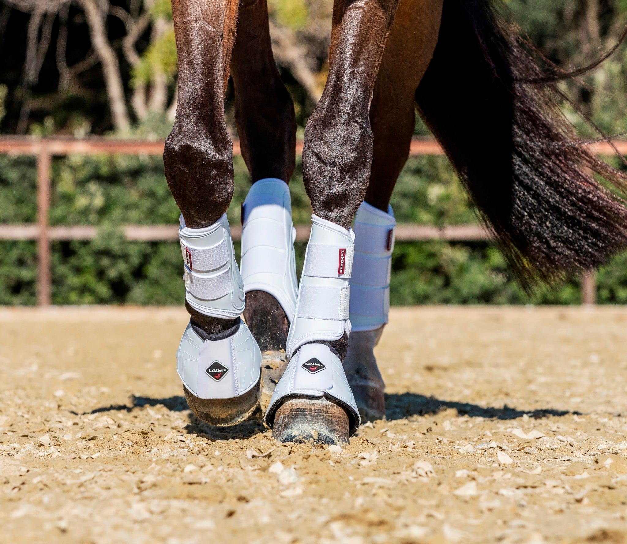 LeMieux ProShell Over Reach Boots