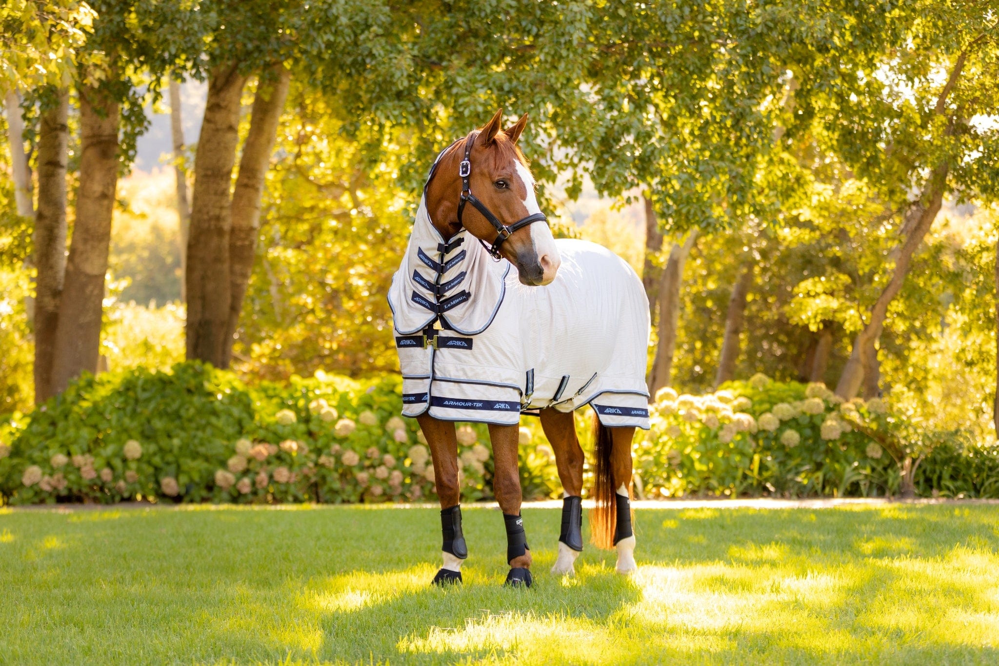 Lemieux Arika Armour-Tek Fly Rug