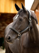 Brown horse wearing a bridle with a blurred wooden background
