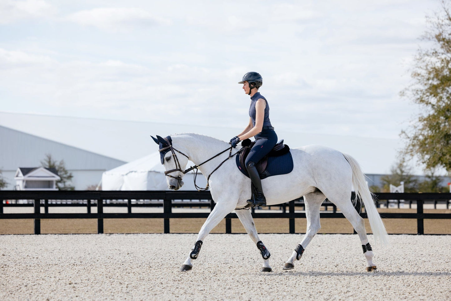 LeMieux Finesse Jump Pad - Navy