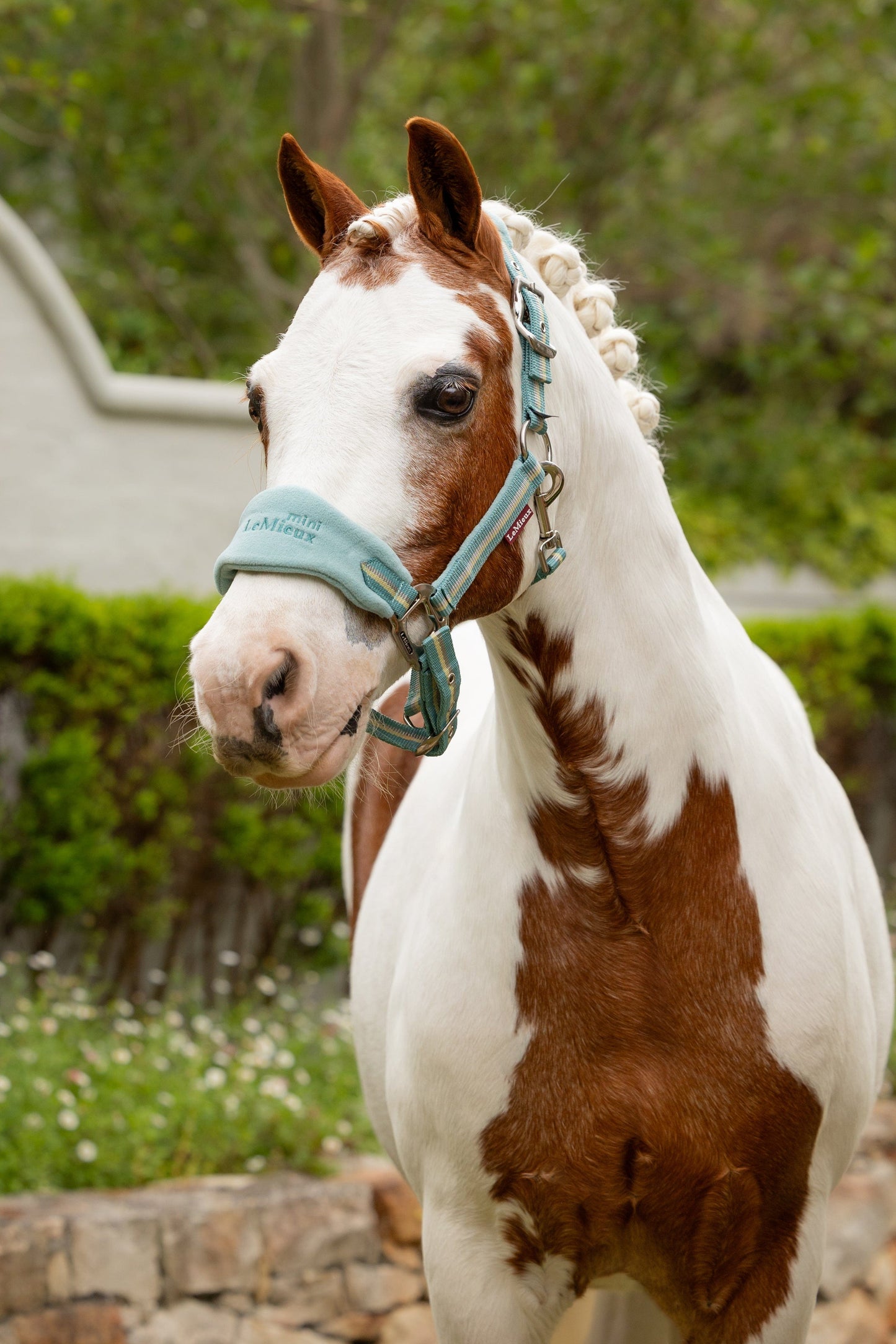 LeMieux Mini Vogue Halter - Aqua