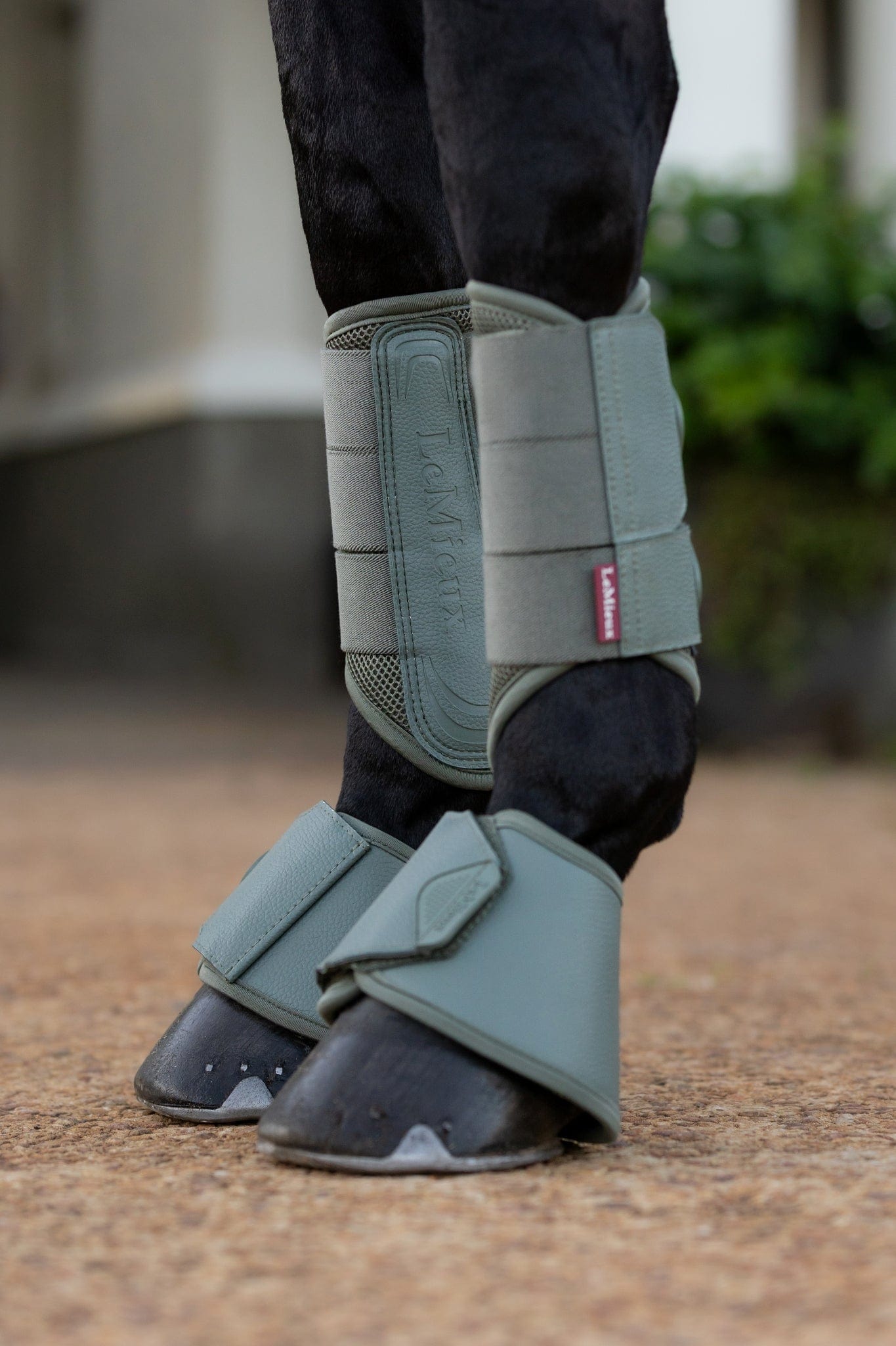 LeMieux Arika Over Reach Boots