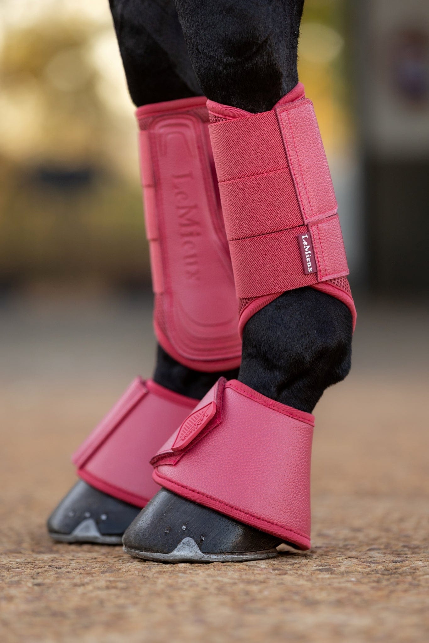 LeMieux Arika Over Reach Boots