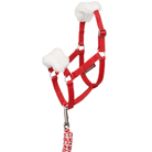 Red halter with white padding and a red and white rope on a white background