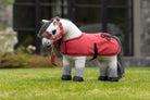 LeMieux Toy Pony Blanket