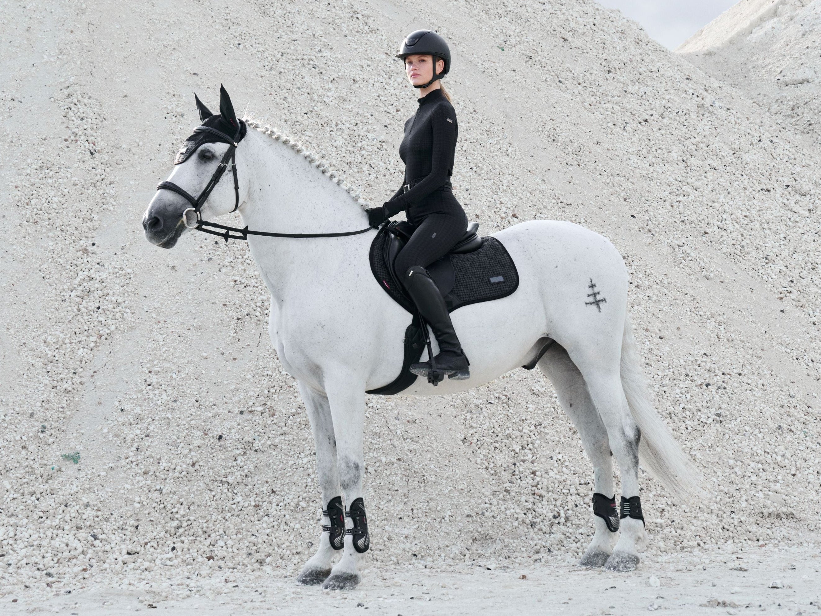 Person riding a white horse on a sandy surface