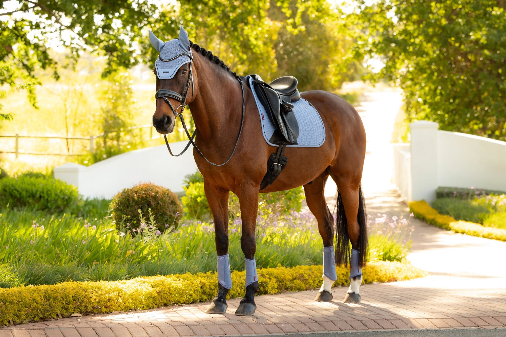 Brown horse with a saddle and bridle standing on a path with greenery in the background