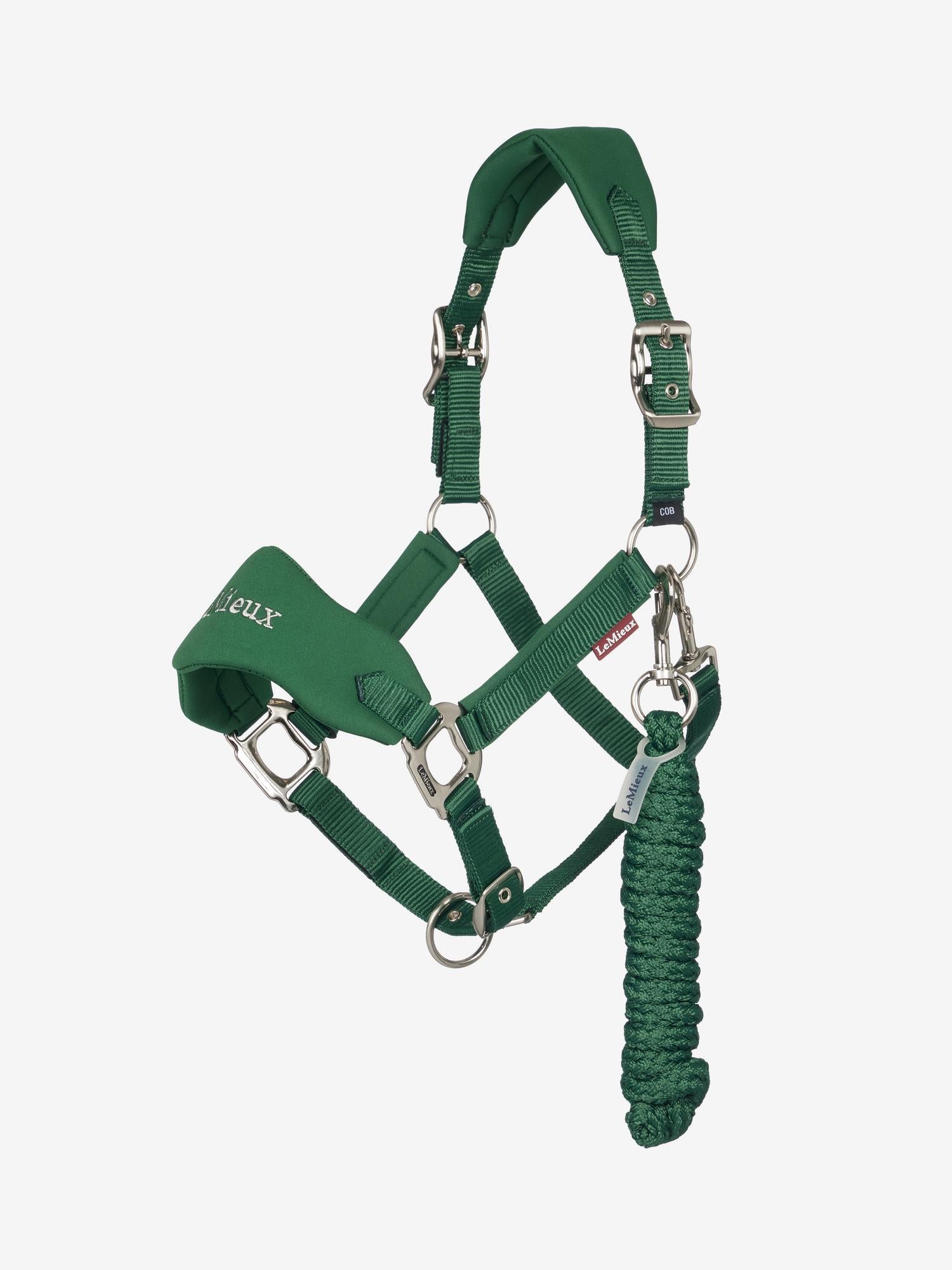 Green horse halter with a rope on a white background