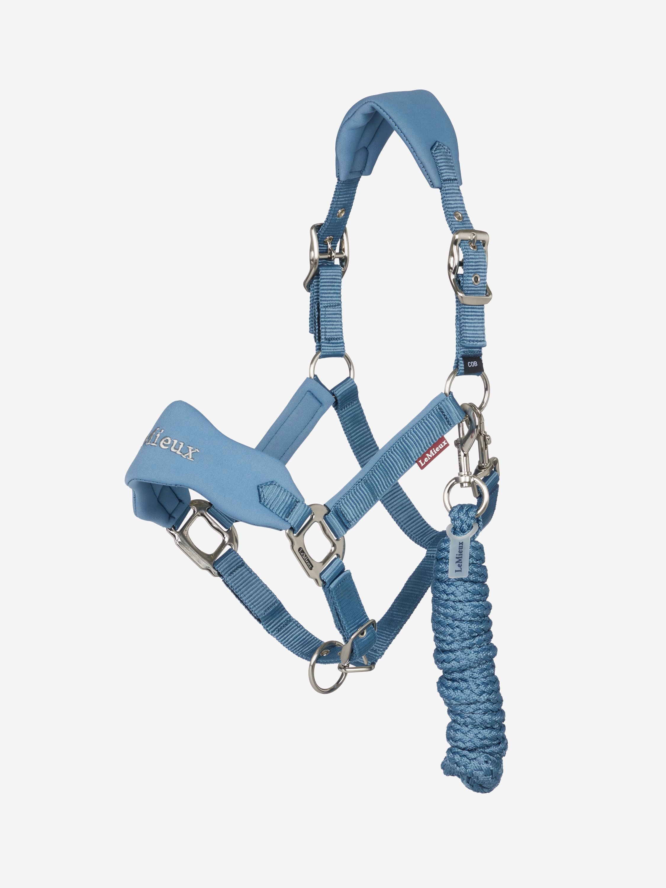 Blue halter with a rope on a white background