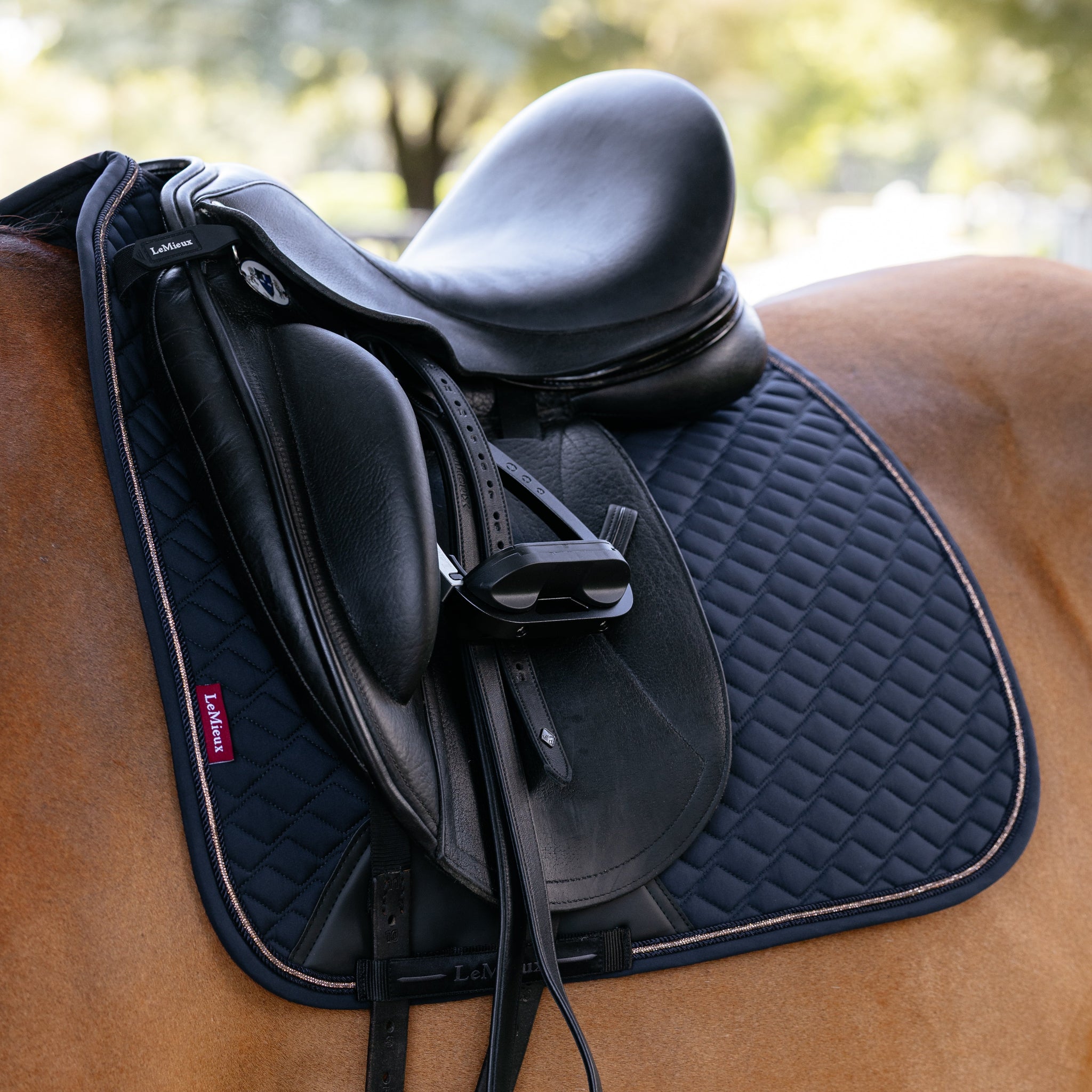 LeMieux Brilliance Dressage Square Pad