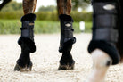 Horse legs wearing protective leg wraps on a sandy surface with a blurred natural background