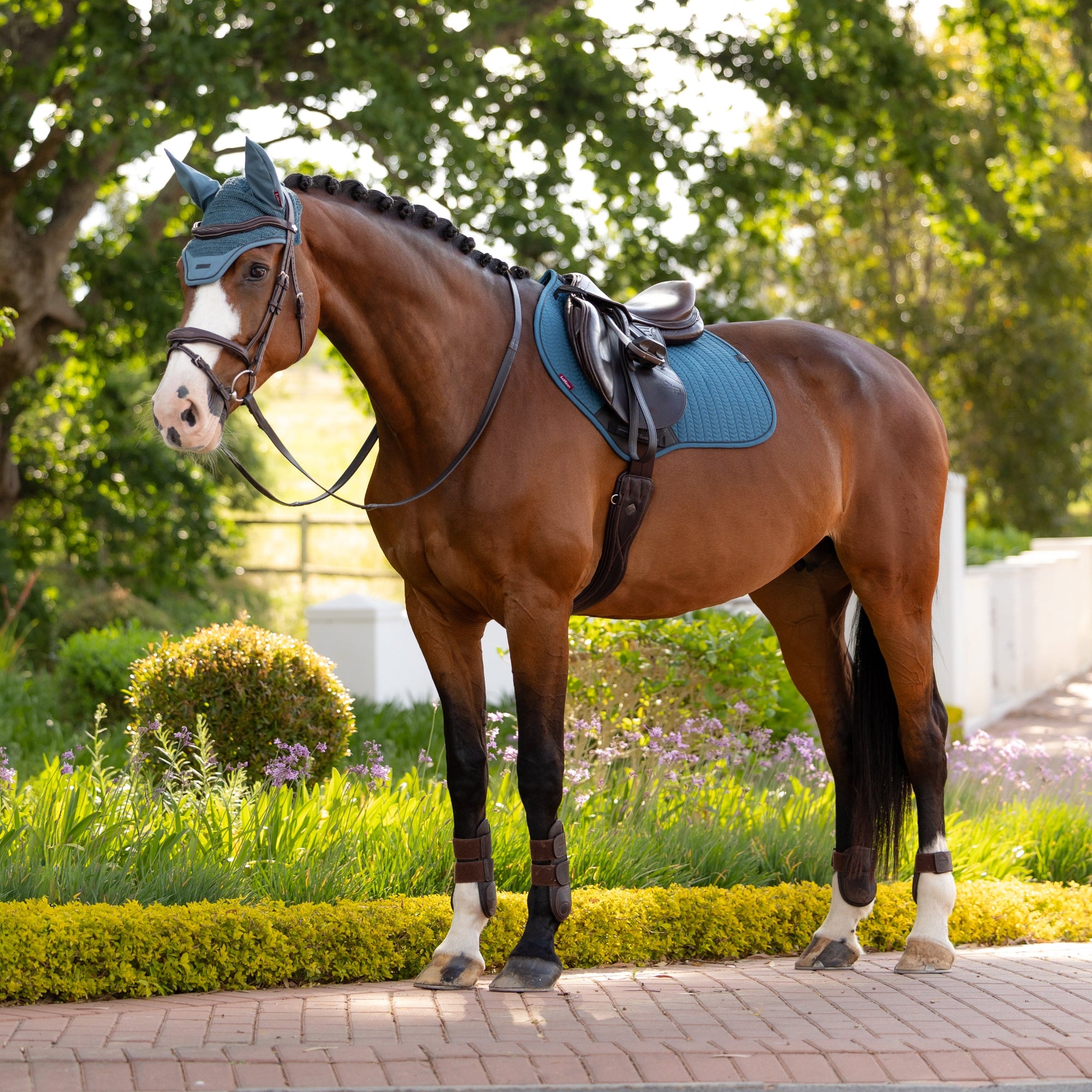 Brown horse with a blue bridle and saddle pad standing on a path with greenery in the background
