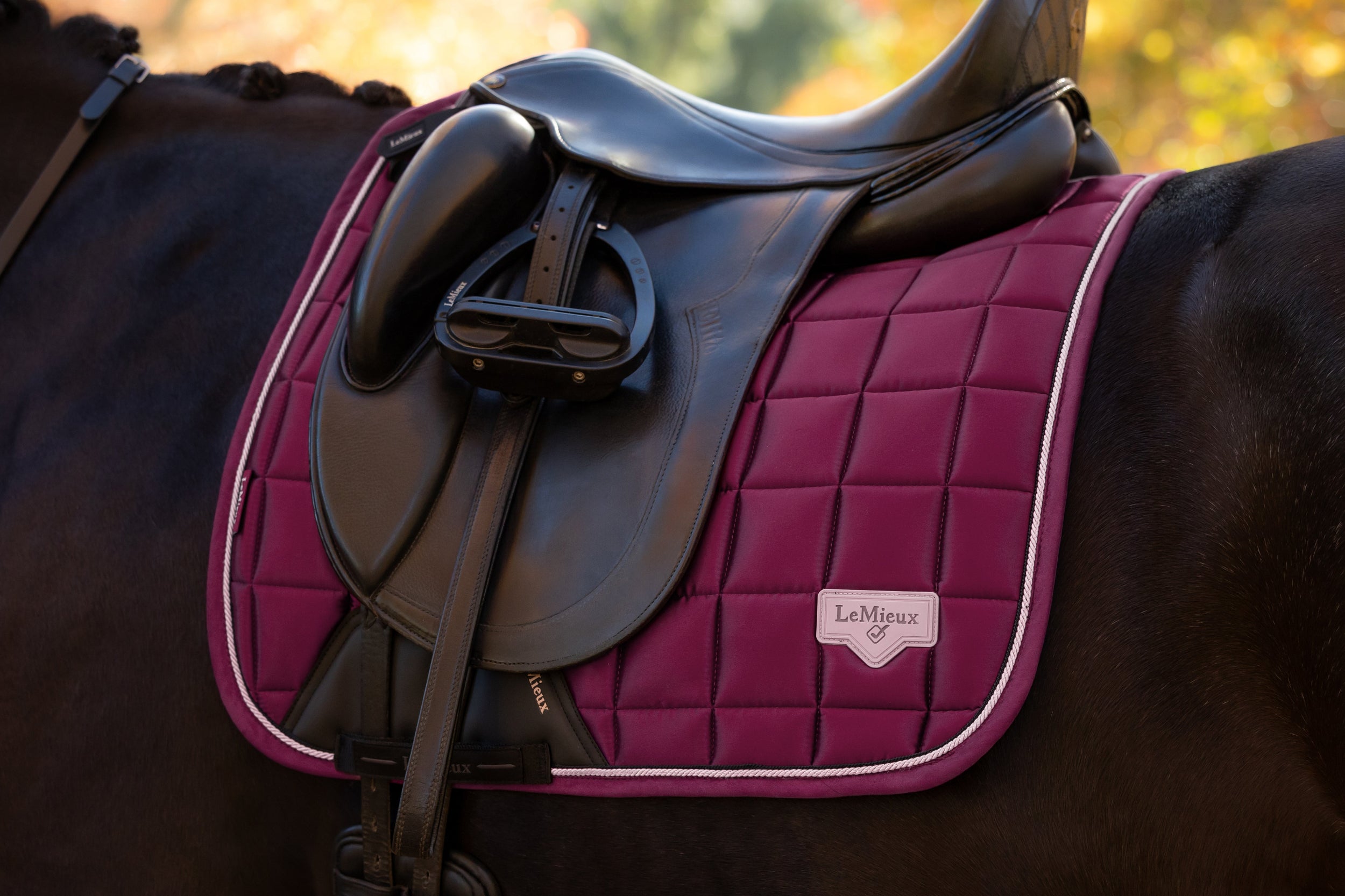 LeMieux Loire Classic Square Dressage Pad 