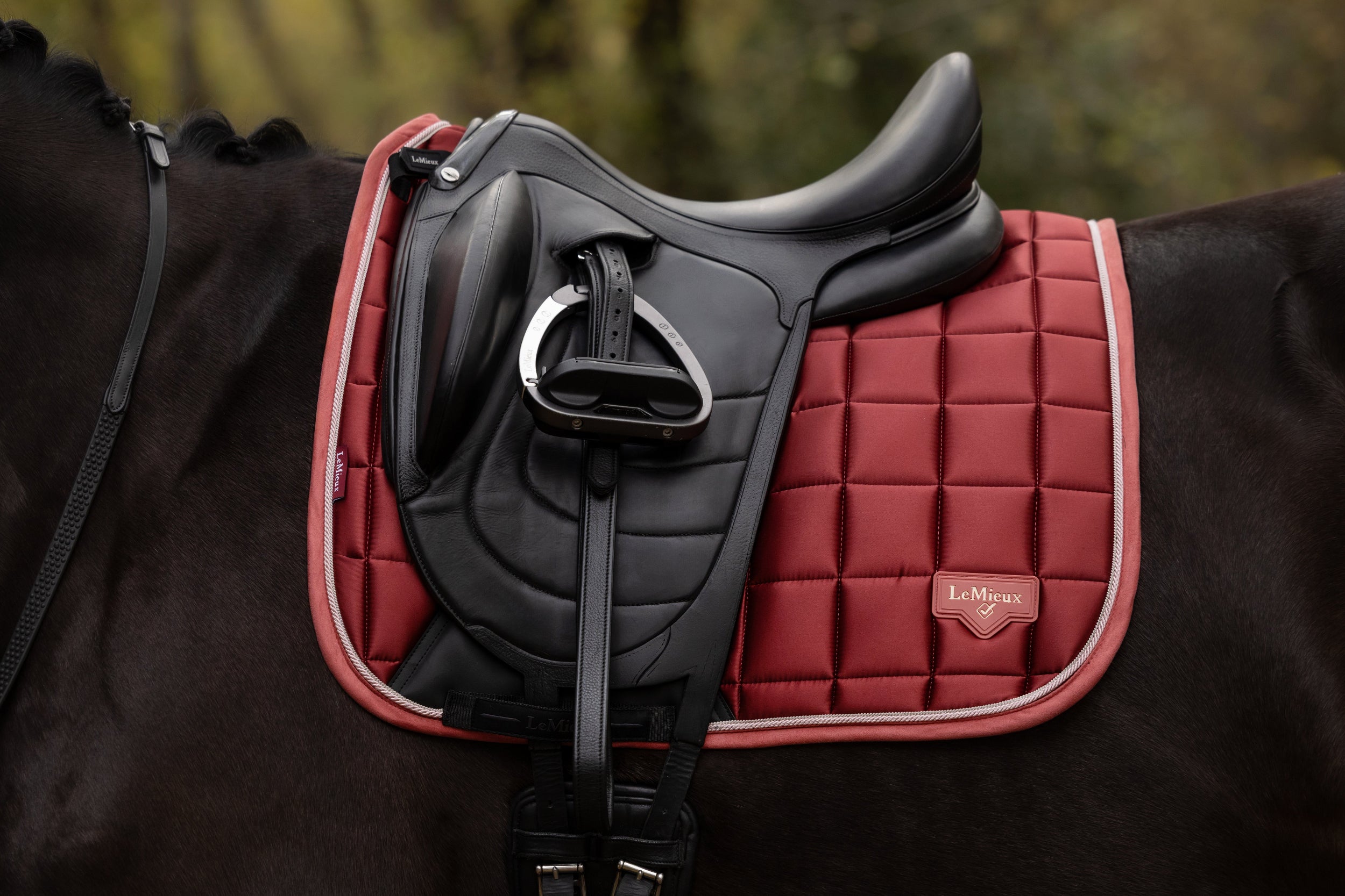 LeMieux Loire Classic Square Dressage Pad 