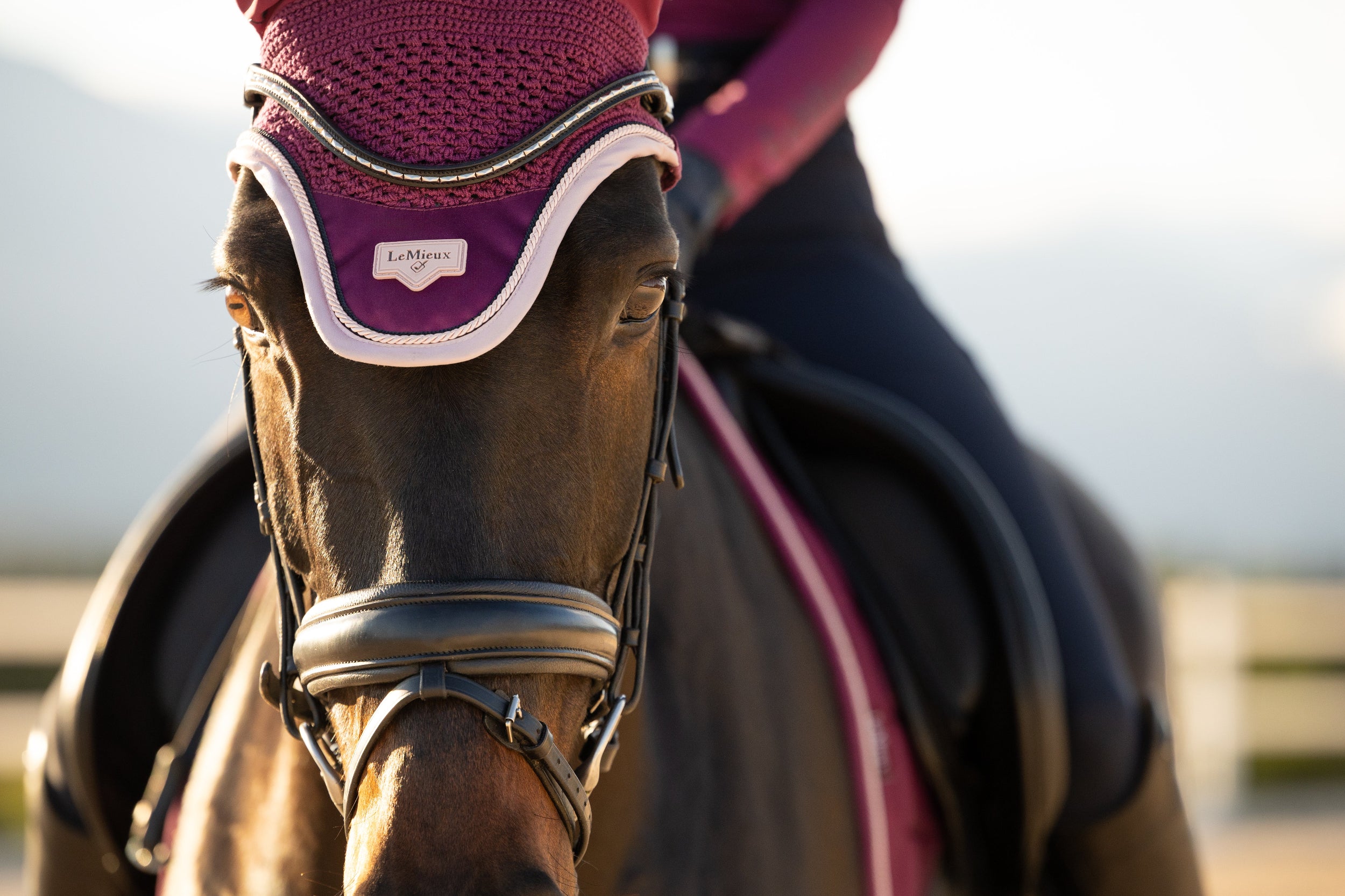 LeMieux Loire Ear Bonnet 