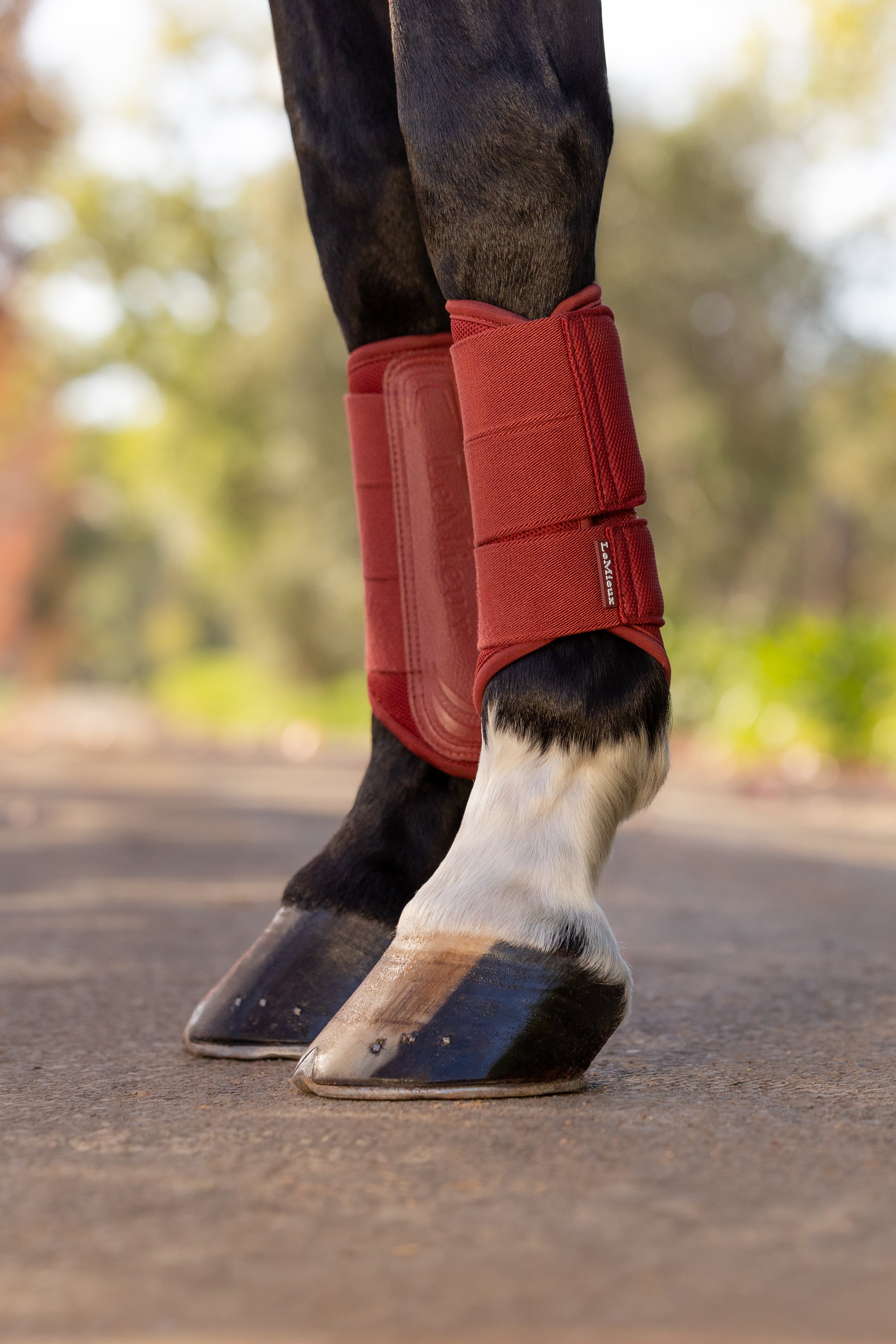 LeMieux Arika Mesh Brushing Boots