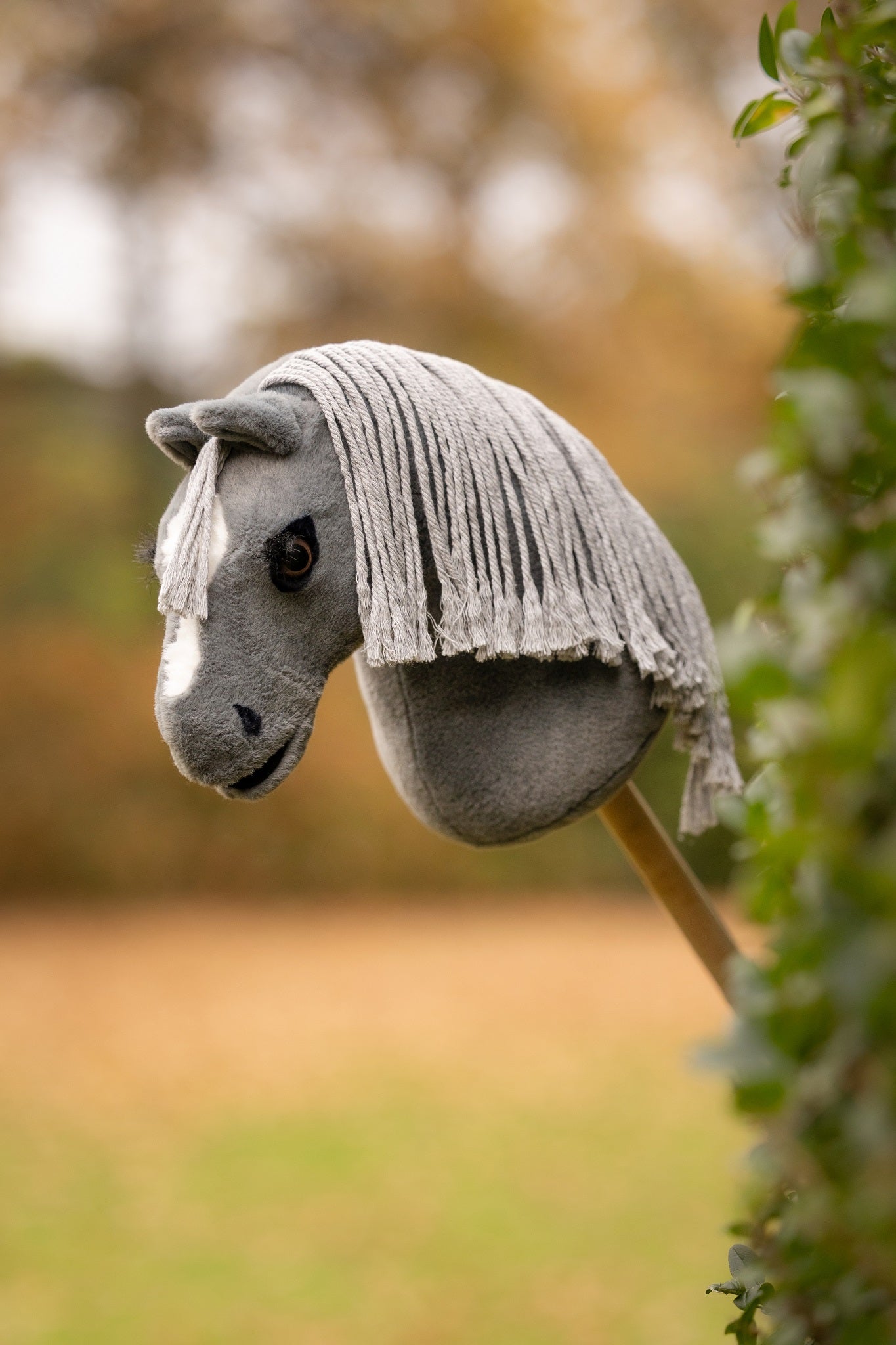 LeMieux Mini Hobby Horse