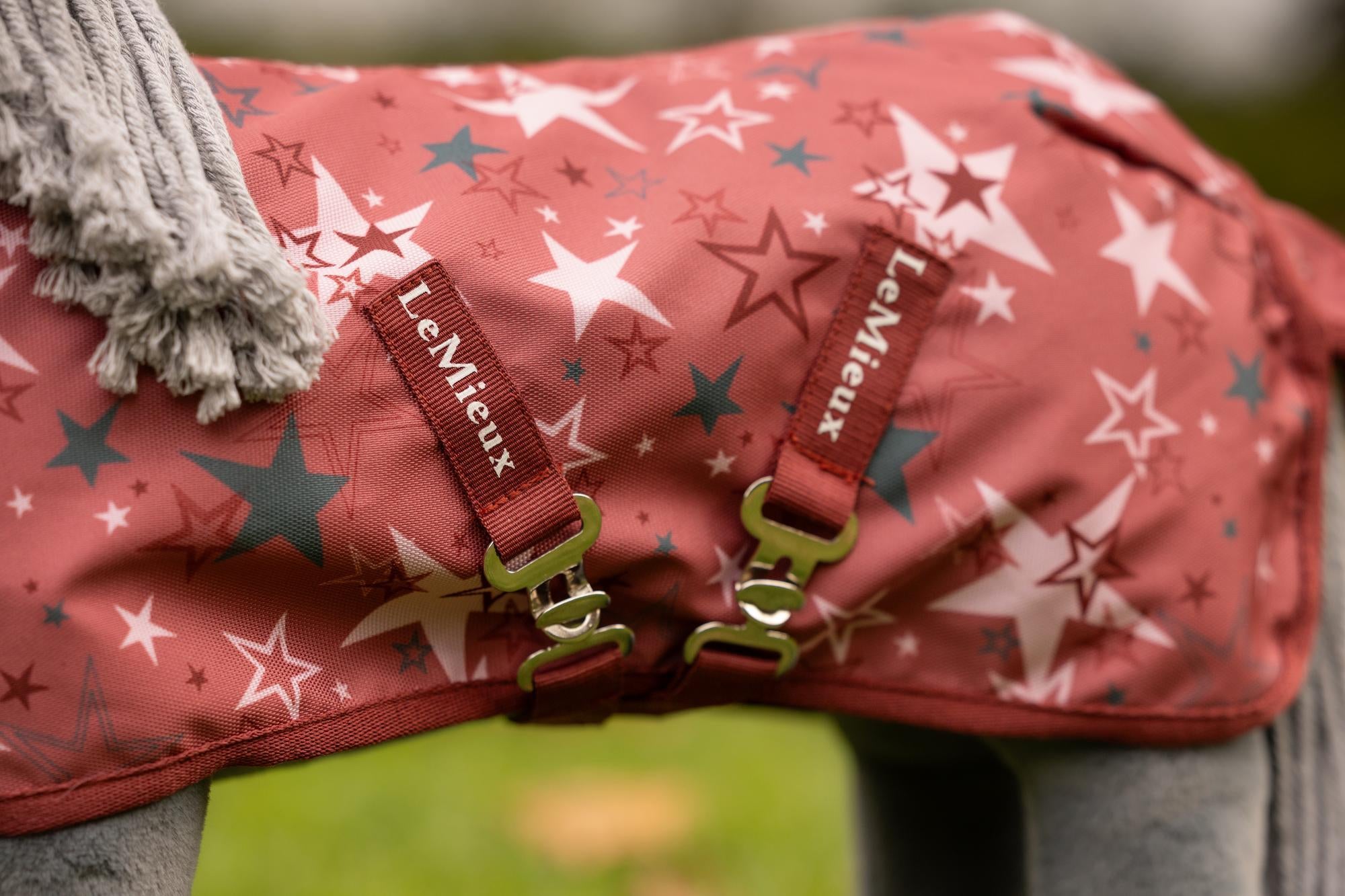 LeMieux Toy Pony Printed Blanket 