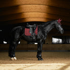 A black horse standing in profile inside a wooden stable, wearing a dark saddle with a red saddle pad and red ear covers.