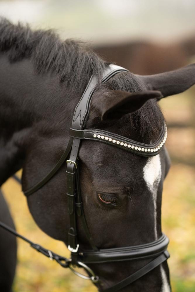 Black Oak Magnolia Snaffle Bridle - Horse