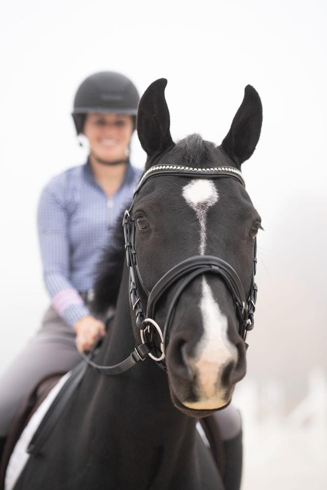 Black Oak Magnolia Snaffle Bridle - Horse