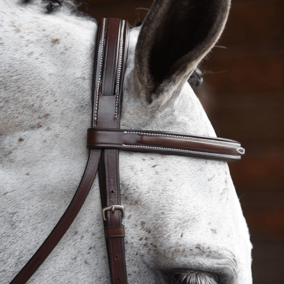 KL Select Middleburg Hunter Bridle