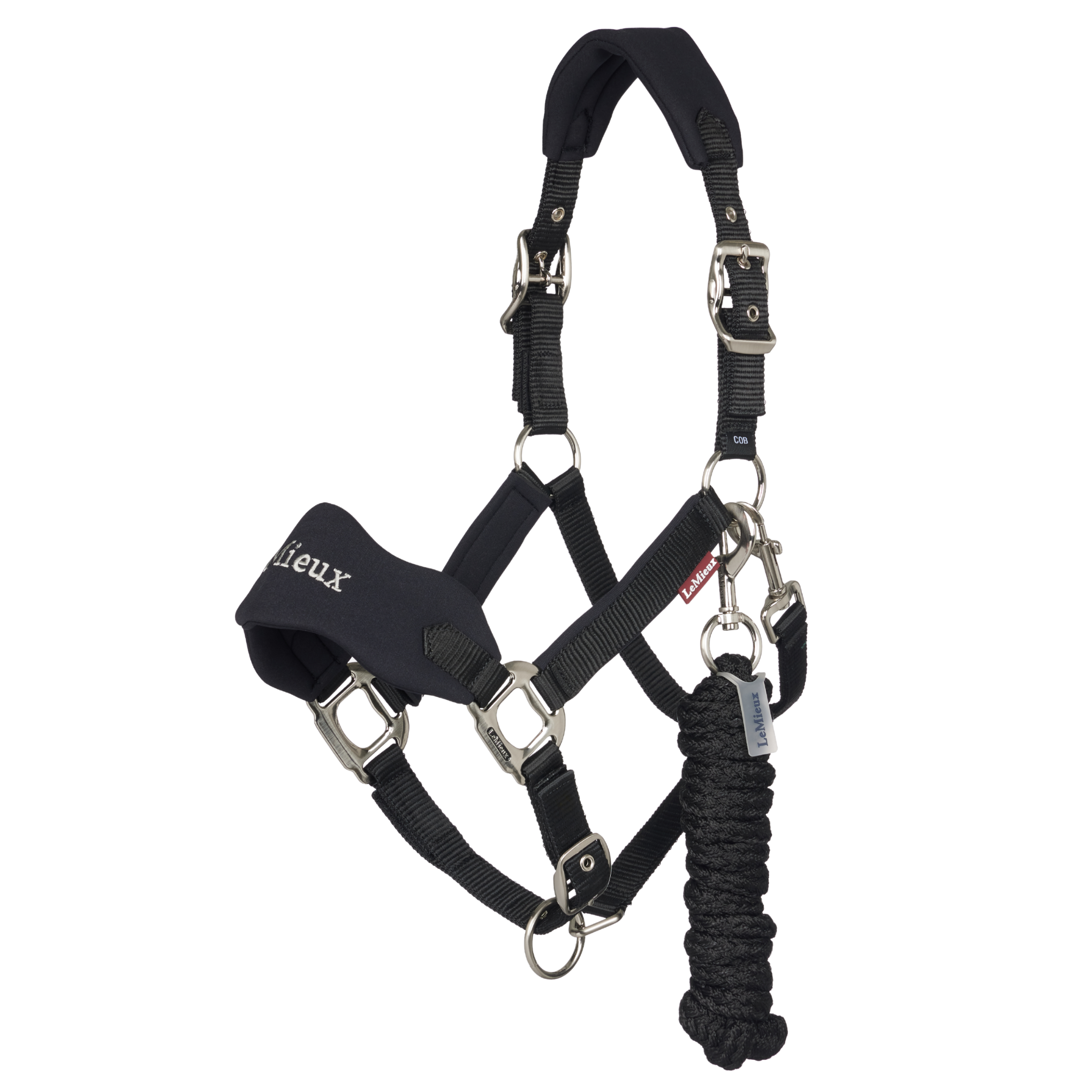 black equestrian halter