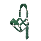 A green breakaway horse halter with silver metal hardware and a matching green lead rope, shown against a plain white background.