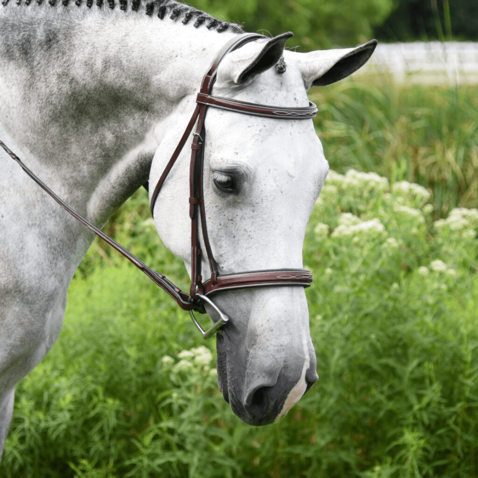 KL Select Middleburg Hunter Bridle