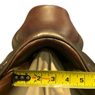 18" Tad Coffin A5G2, 2008, 70X Flap, Medium Wide (4.5") Tree