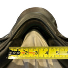 17.5" Voltaire Palm Beach, 2017, 2AA Flap, Wide (4.75") Tree