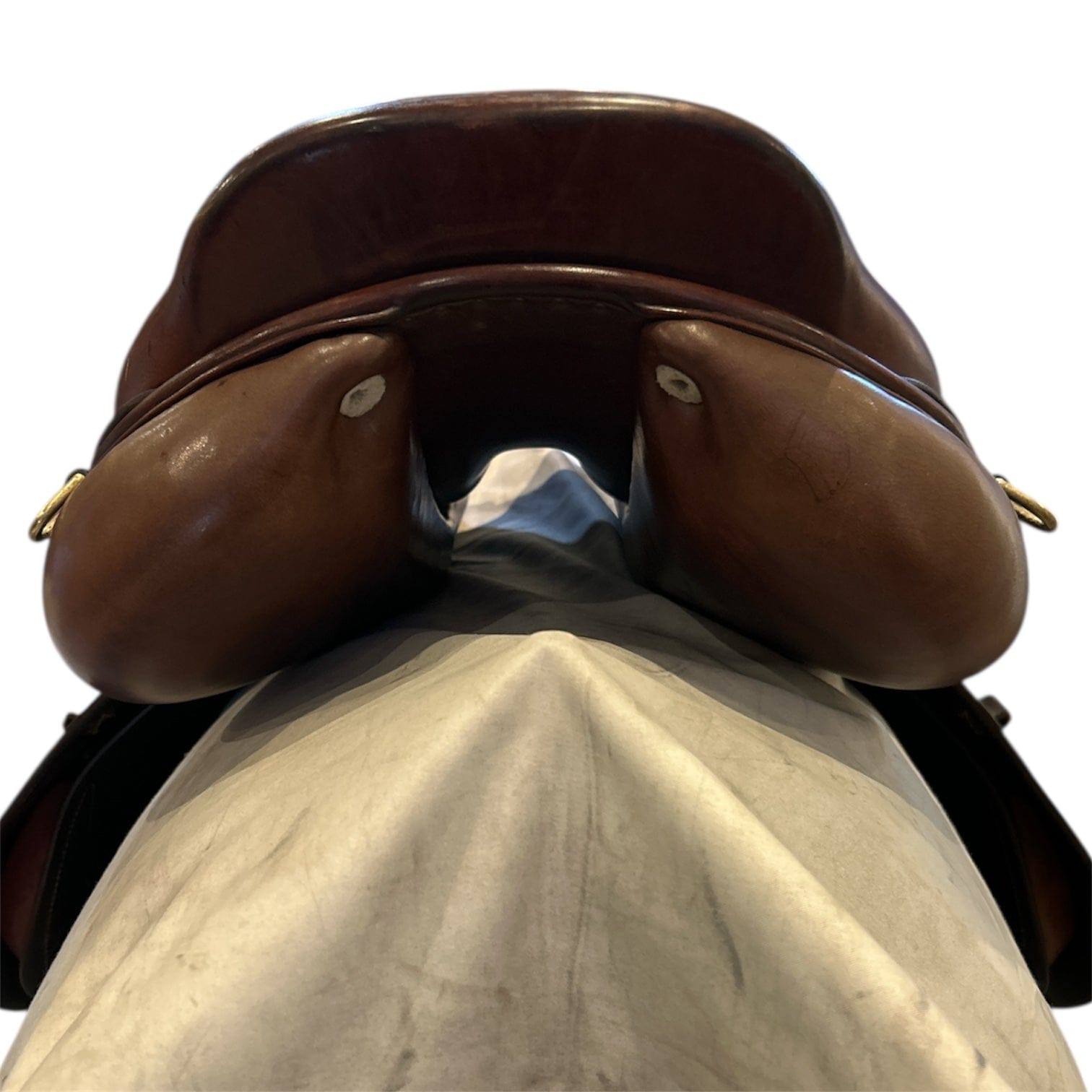 17.5" CWD SE01, 2009, 2L Flap, Medium Wide (4.5") Tree