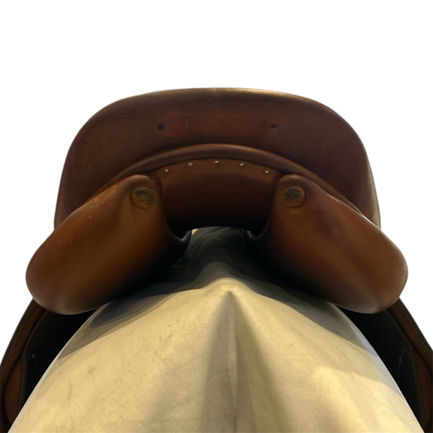 17.5" Butet Premium, "L" Semi-Flat Seat, 2017, 3 Flap, Medium (4") Tree