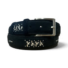 Plastronique Belt