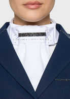 Silver Shade Plastron Premium