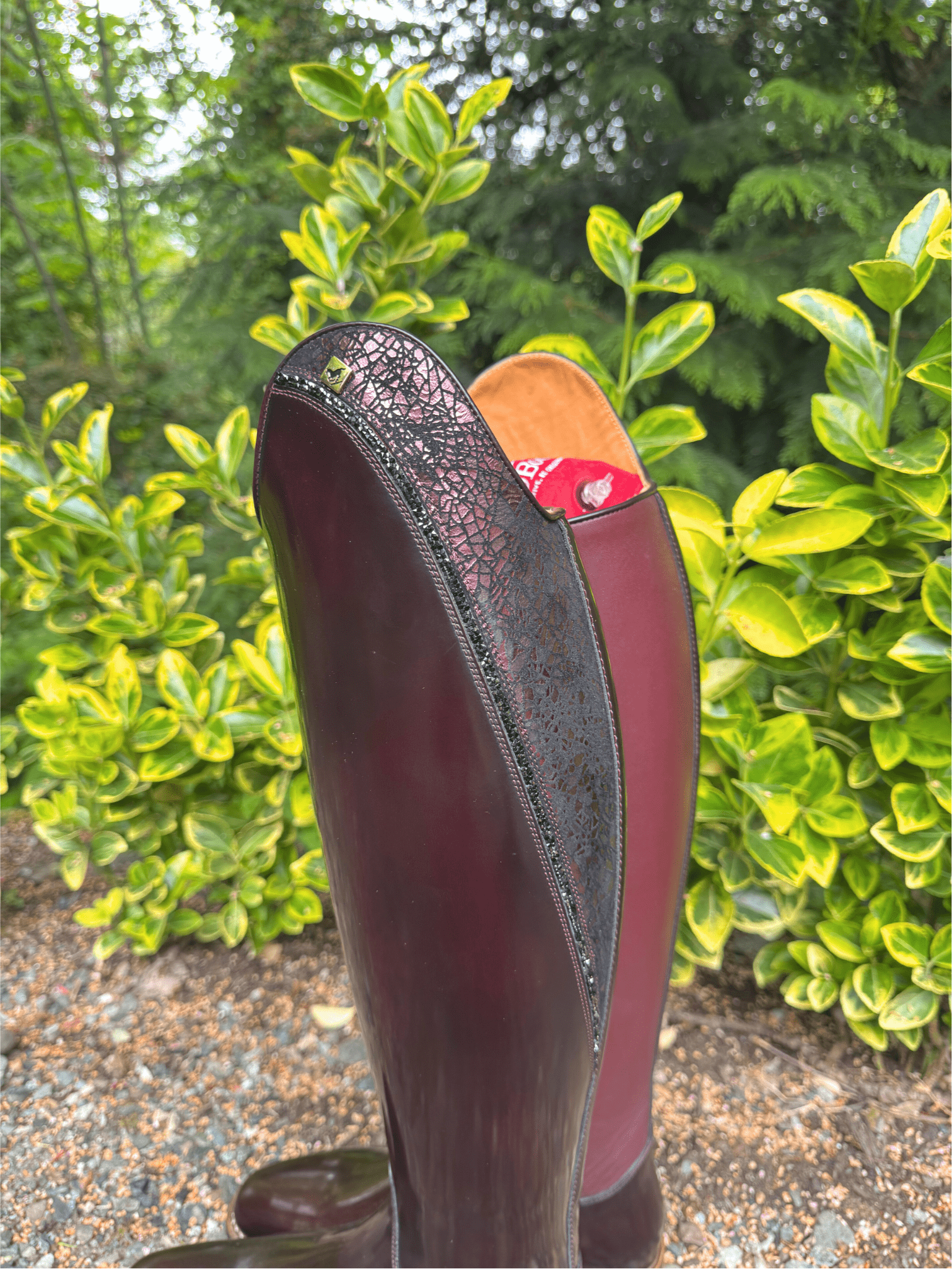 DeNiro Bellini Dressage Boot - Brushed Burgundy with Mica Dedalo Vino & Swarovski