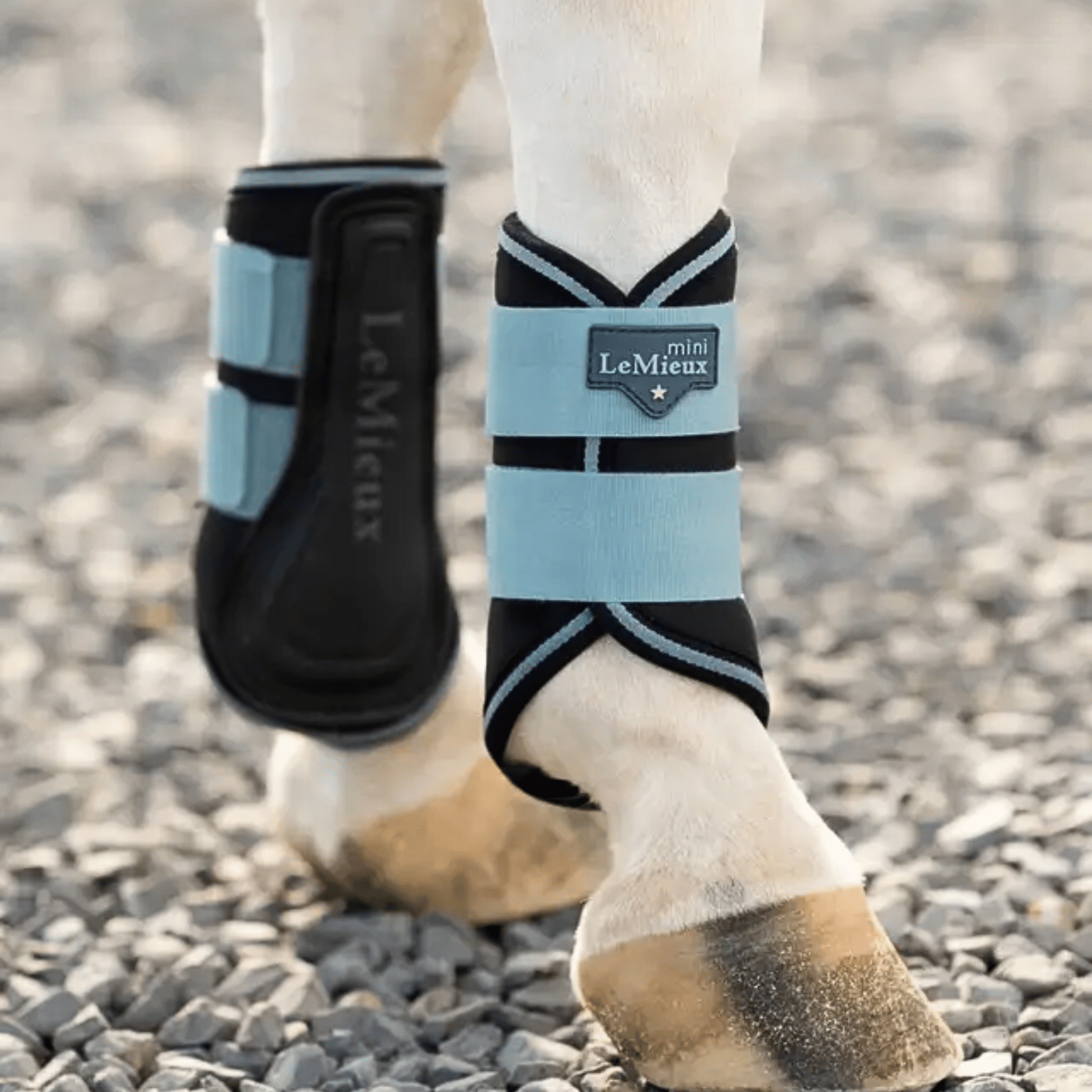 Lemieux Mini Grafter Brushing Boots