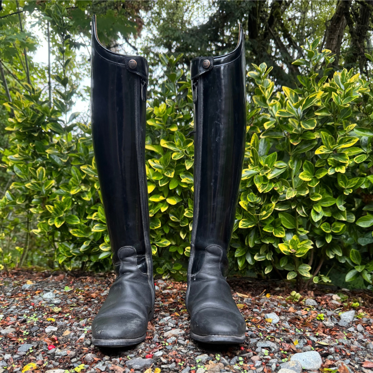 DeNiro Raffaello Dressage Boot 