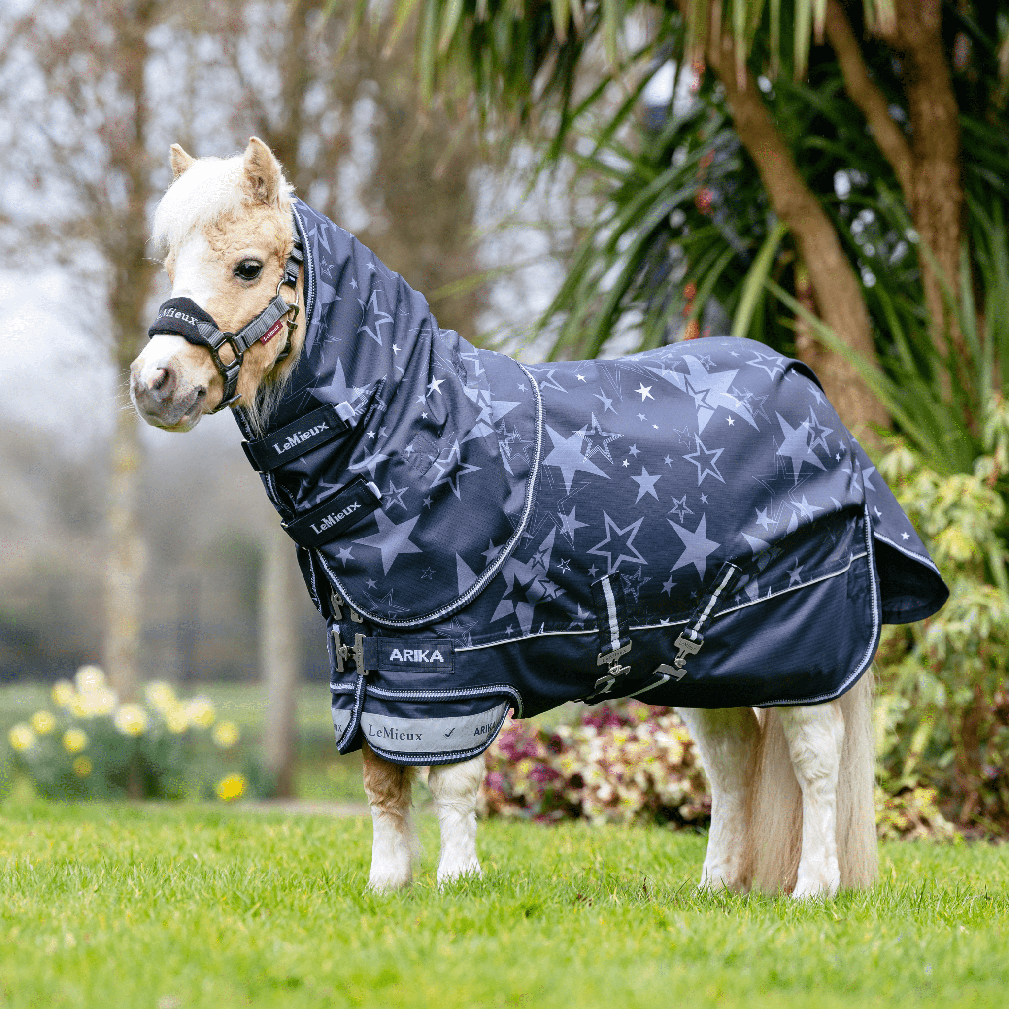 Lemieux Arika Star 200g Turnout Blanket