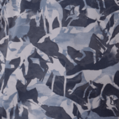 POLAR COINCIDE PRINT
