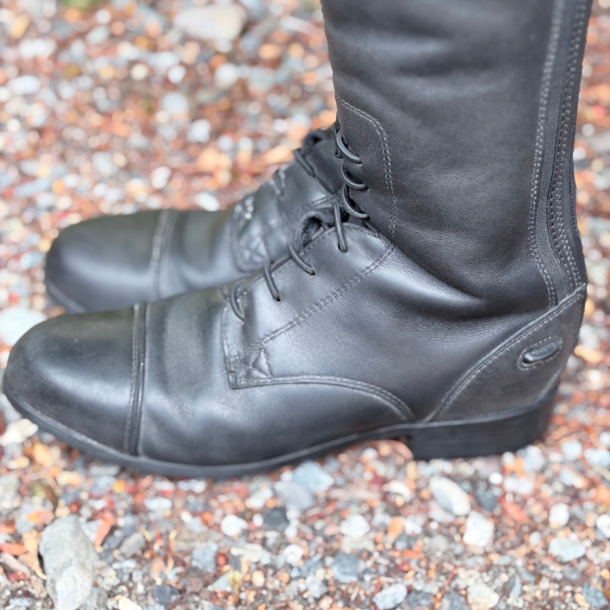 A close-up of a black leather riding boots with  lace-up front and back zipper, shown outdoors on a bed of small multicolored gravel.
