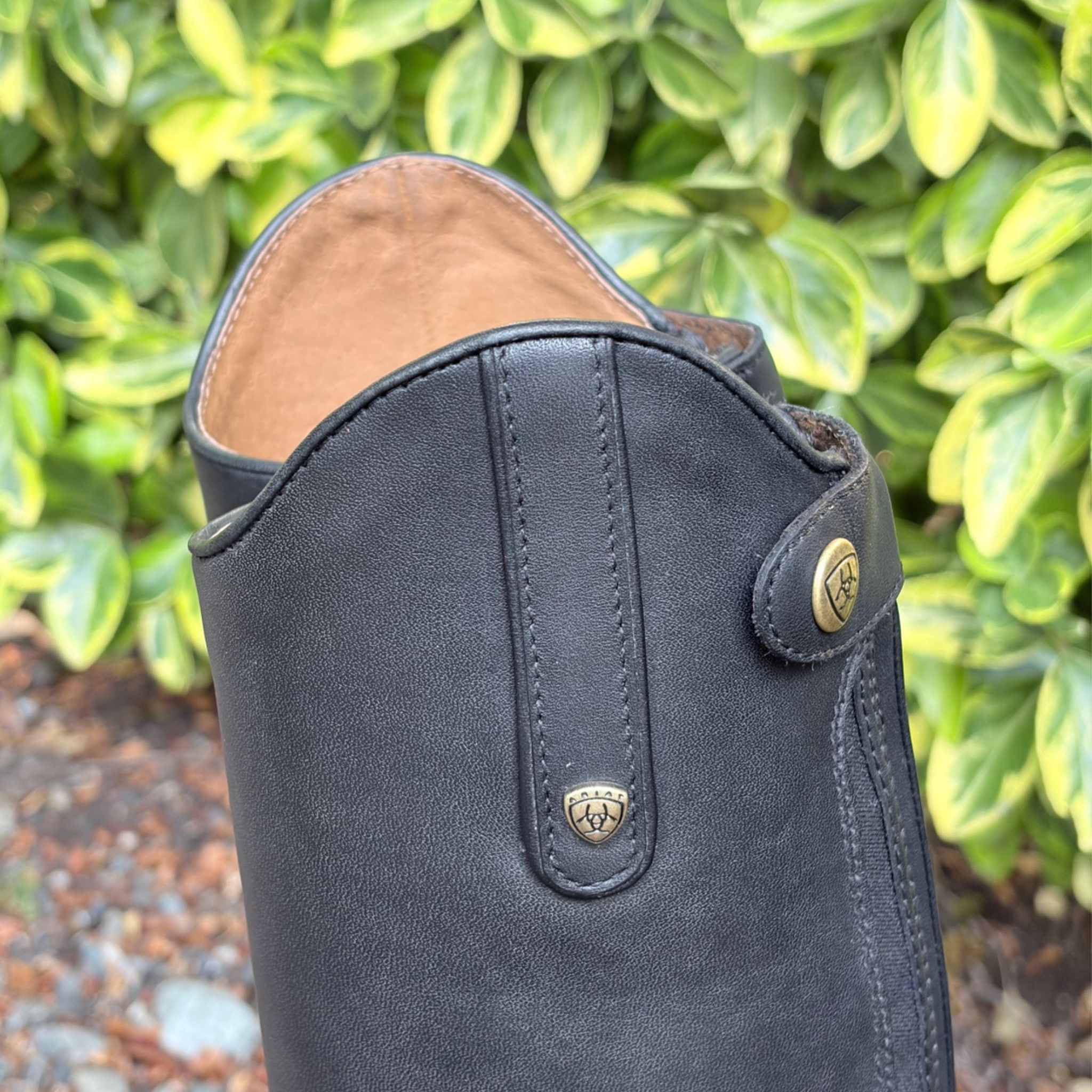 A close-up of a black leather boot with a decorative strap and brass-tone logo studs, set against a background of green foliage.