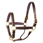 Perri's Padded Halter - HAVANNA