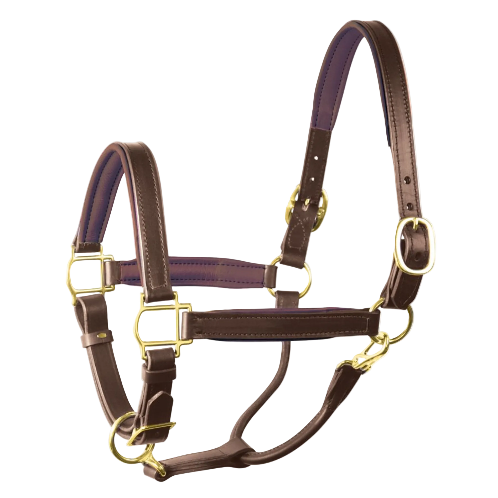 Perri's Padded Halter - HAVANNA