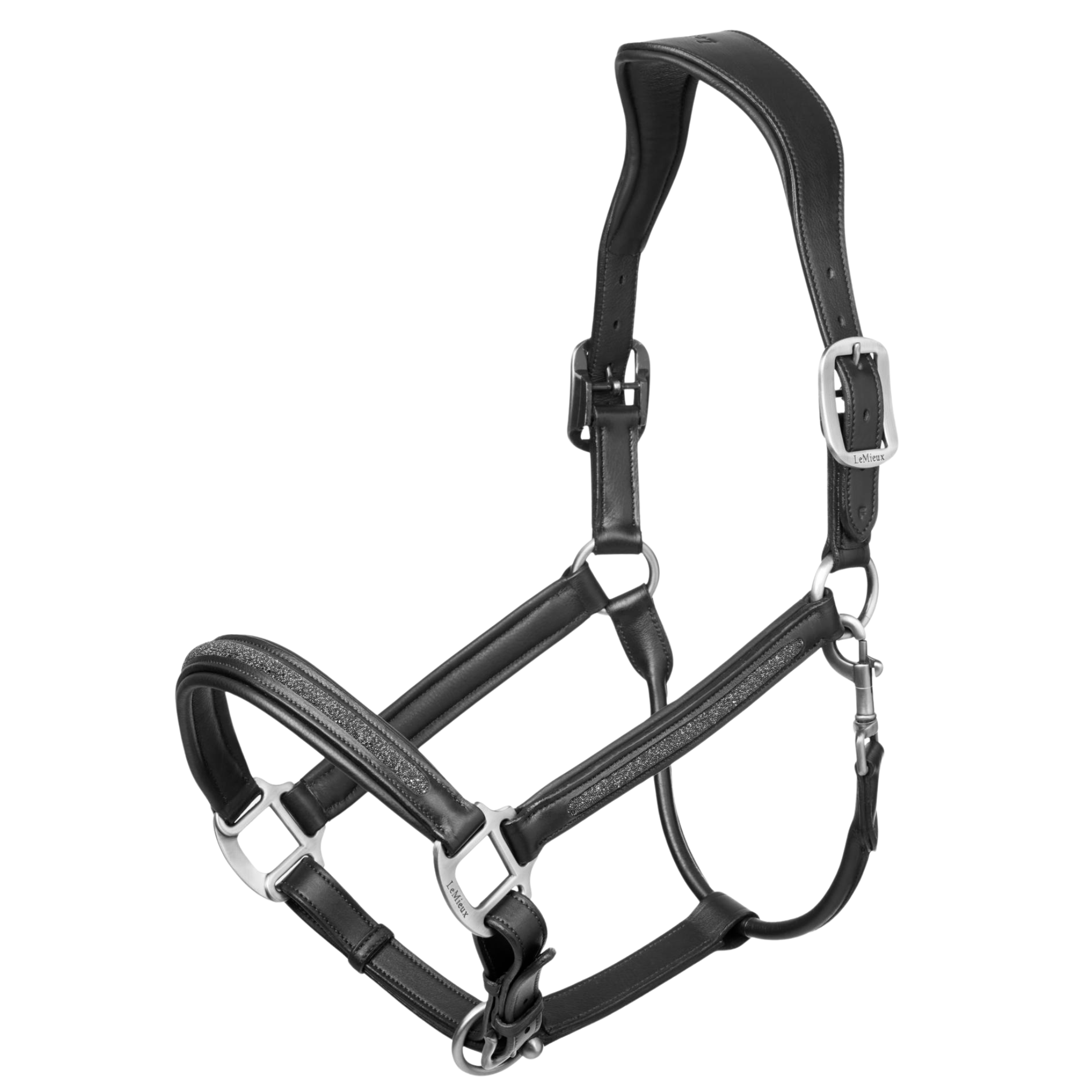 Black leather horse halter with silver hardware on a white background